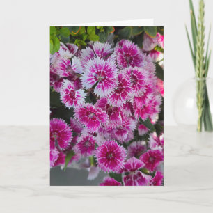 Tiny Pink Flowers Blank Notecard