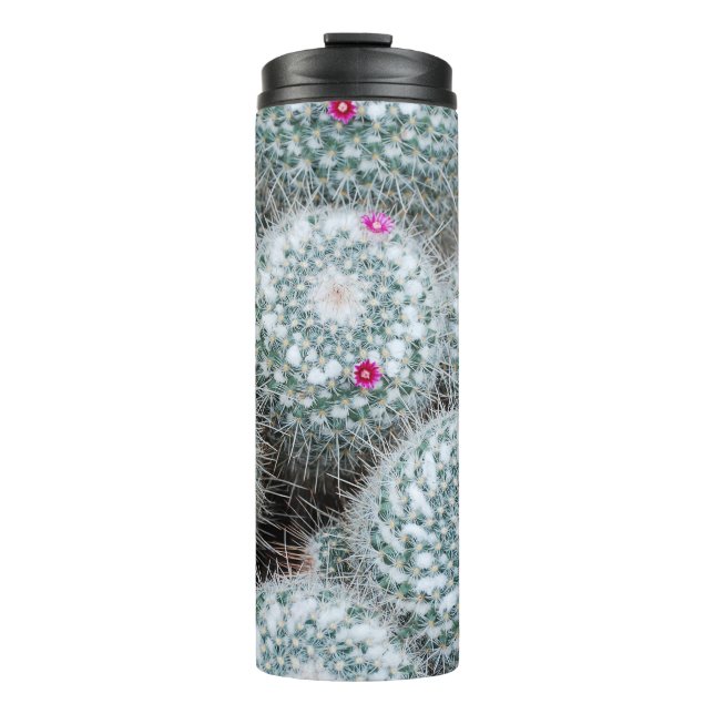 Tiny Pink Flowers Cactus Plants Thermal Tumbler (Front)