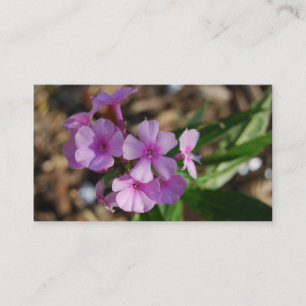 Tiny Purple Flowers - Business Card