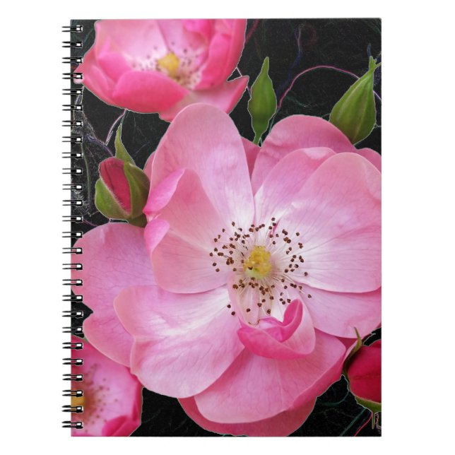 tiny rosebud opens notebook (Front)