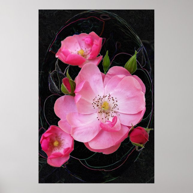 tiny rosebud opens poster (Front)