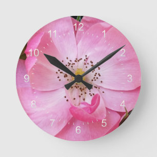 tiny rosebud opens round clock