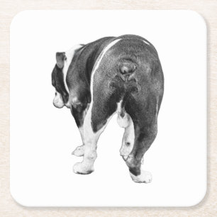 Tiny Shaded Gallery, Bulldog Wink Square Paper Coaster