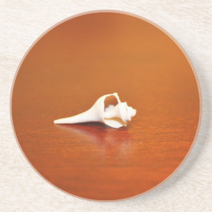 Tiny Shell Coaster