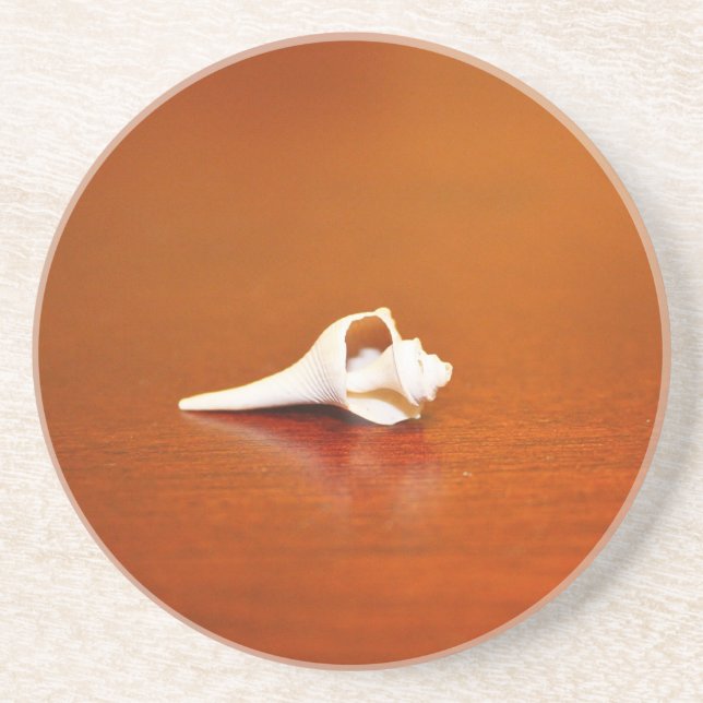 Tiny Shell Coaster (Front)