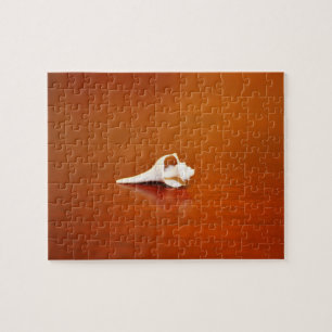 Tiny Shell Jigsaw Puzzle