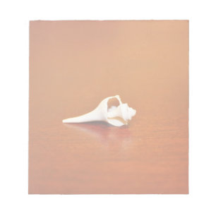 Tiny Shell Notepad