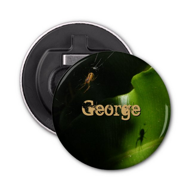 Tiny Spider Bottle Opener (Front)