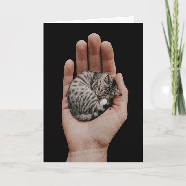 Tiny Tabby Card (Front)