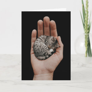 Tiny Tabby Card