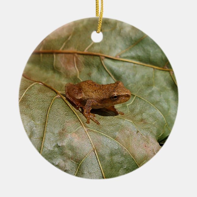 Tiny Toad Ceramic Ornament (Front)