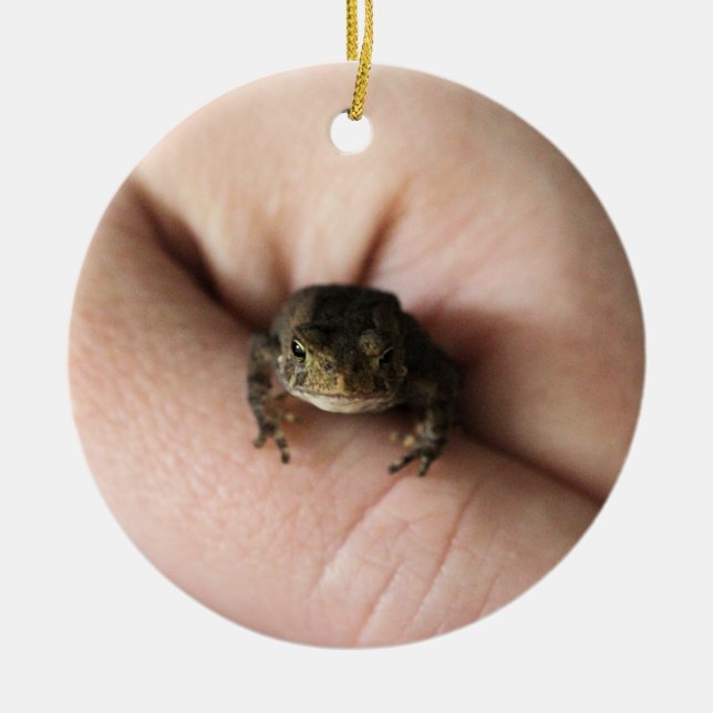 Tiny toad ceramic ornament (Front)