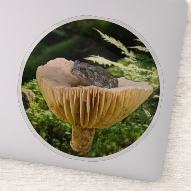 Tiny Toad on a Mini Mushroom with Ferns (Detail)