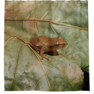 Tiny Toad Shower Curtain