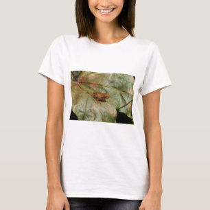 Tiny Toad T-Shirt