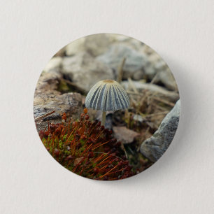 Tiny Toadstool 6 Cm Round Badge
