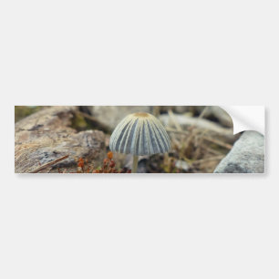 Tiny Toadstool Bumper Sticker