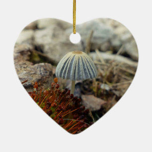 Tiny Toadstool Ceramic Ornament