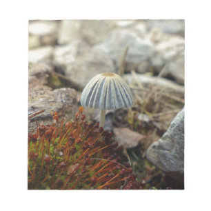 Tiny Toadstool Notepad