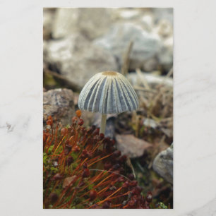 Tiny Toadstool Stationery