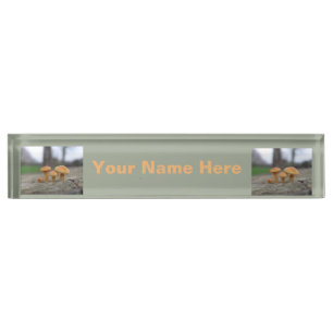 Tiny Toadstools Macro Custom Nameplate