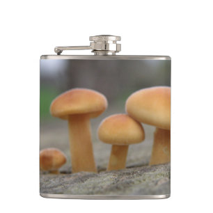 Tiny Toadstools macro Flask
