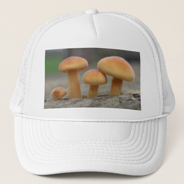 Tiny Toadstools Macro Hat (Front)