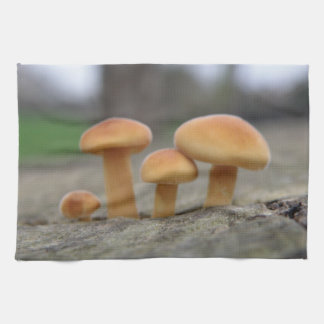 Tiny Toadstools Macro Kitchen Towel