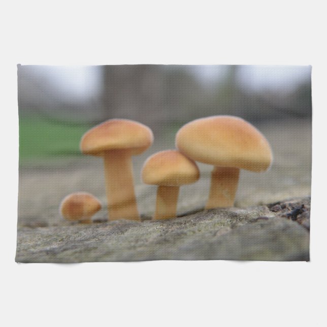 Tiny Toadstools Macro Kitchen Towel (Horizontal)