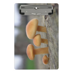 Tiny Toadstools Macro Mini Clipboard