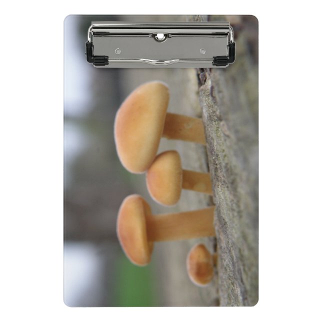 Tiny Toadstools Macro Mini Clipboard (Front)