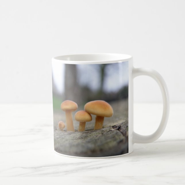 Tiny Toadstools Macro Mug (Right)