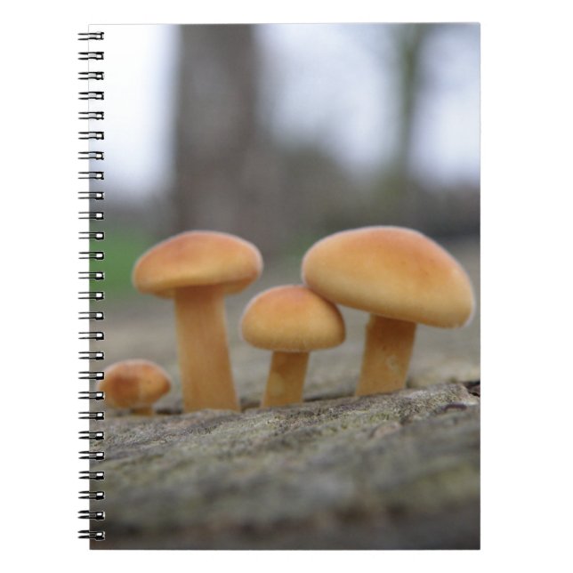 Tiny Toadstools macro Notebook (Front)