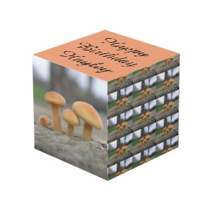 Tiny Toadstools Macro Personalised Cube