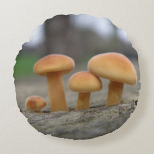 Tiny Toadstools Macro Pillow