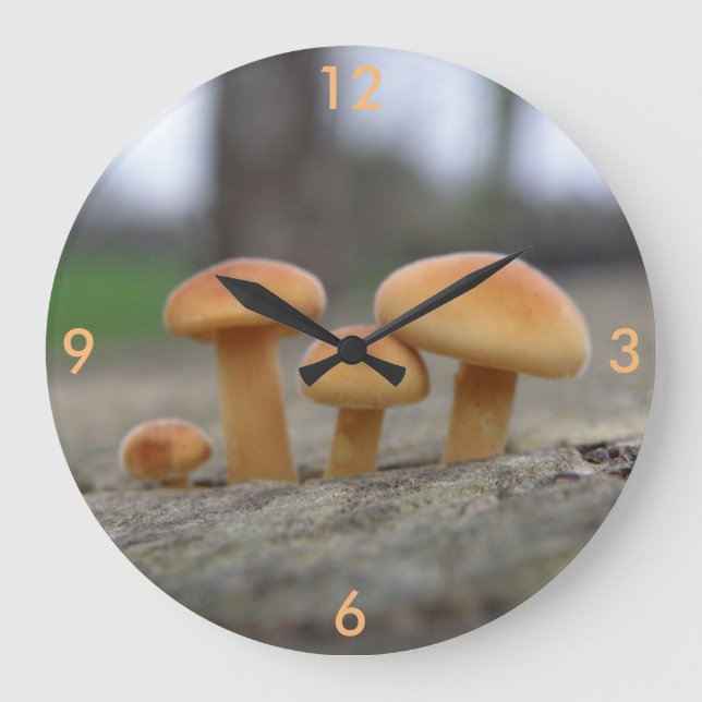 Tiny Toadstools Macro Wall Clock (Front)