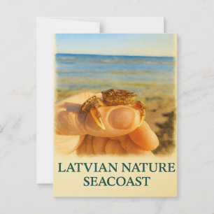 Tiny Treasure of the Baltic Sea Postcard