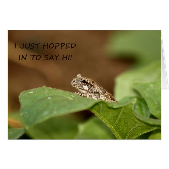 Tiny Tree Frog Hopping in to Say Hi (Front Horizontal)