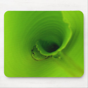 Tiny Tree Frog Mouse Pad