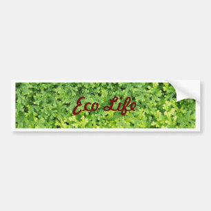 Tiny tropical fern bumper sticker