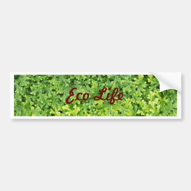 Tiny tropical fern bumper sticker (Front)