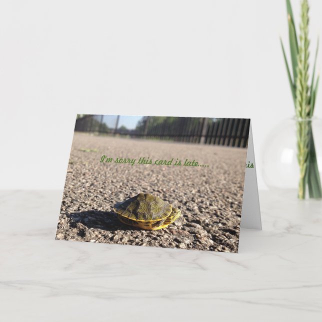 tiny turtle belated birthday card (Front)