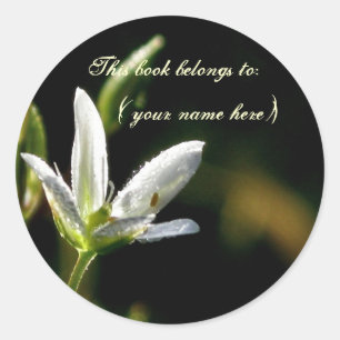 Tiny white flower classic round sticker