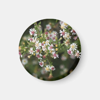 Tiny White Flowers Magnet