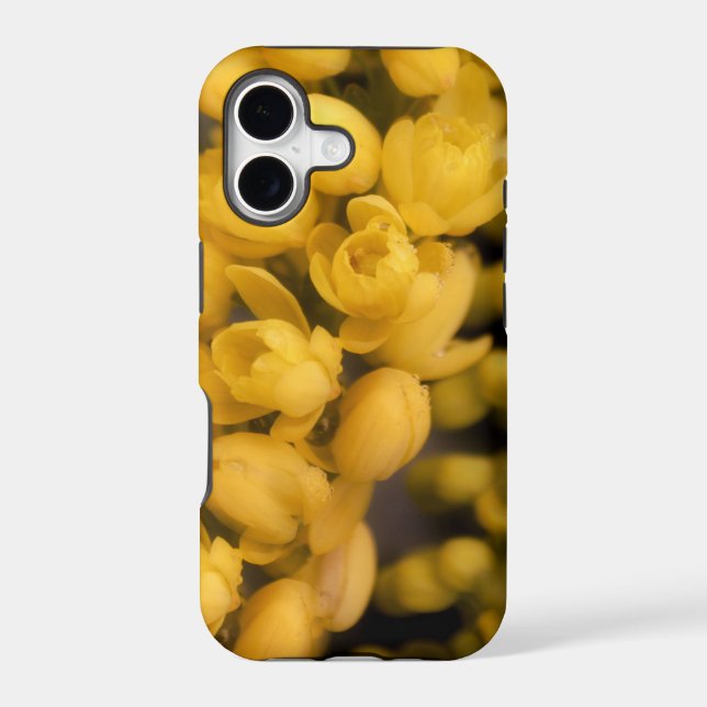 Tiny Yellow Blossoms (Back)
