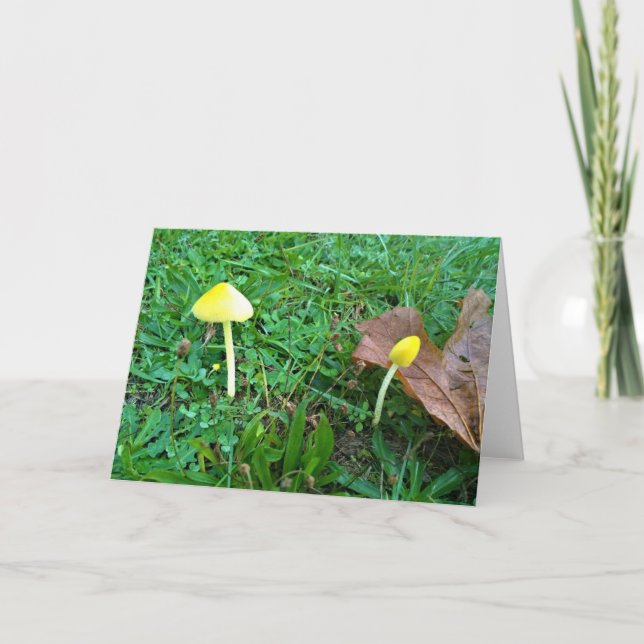 Tiny Yellow Mushrooms Card (Front)