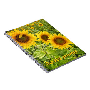 "Tioga Sunflowers" Spiral Notebook