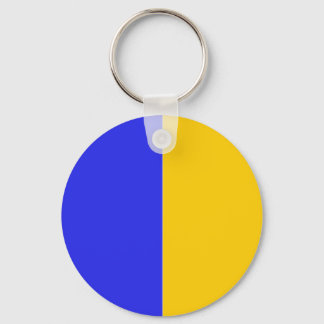 Tipperary, Ireland flag Key Ring