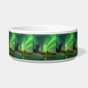Tipping Spruce Aurora