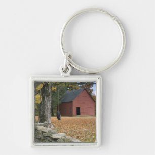 Tire swing along a road in Southern Vermont, Key Ring